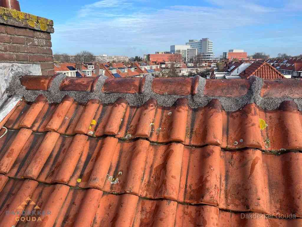 Gouda Daken Renoveren Gouda Daken Renoveren